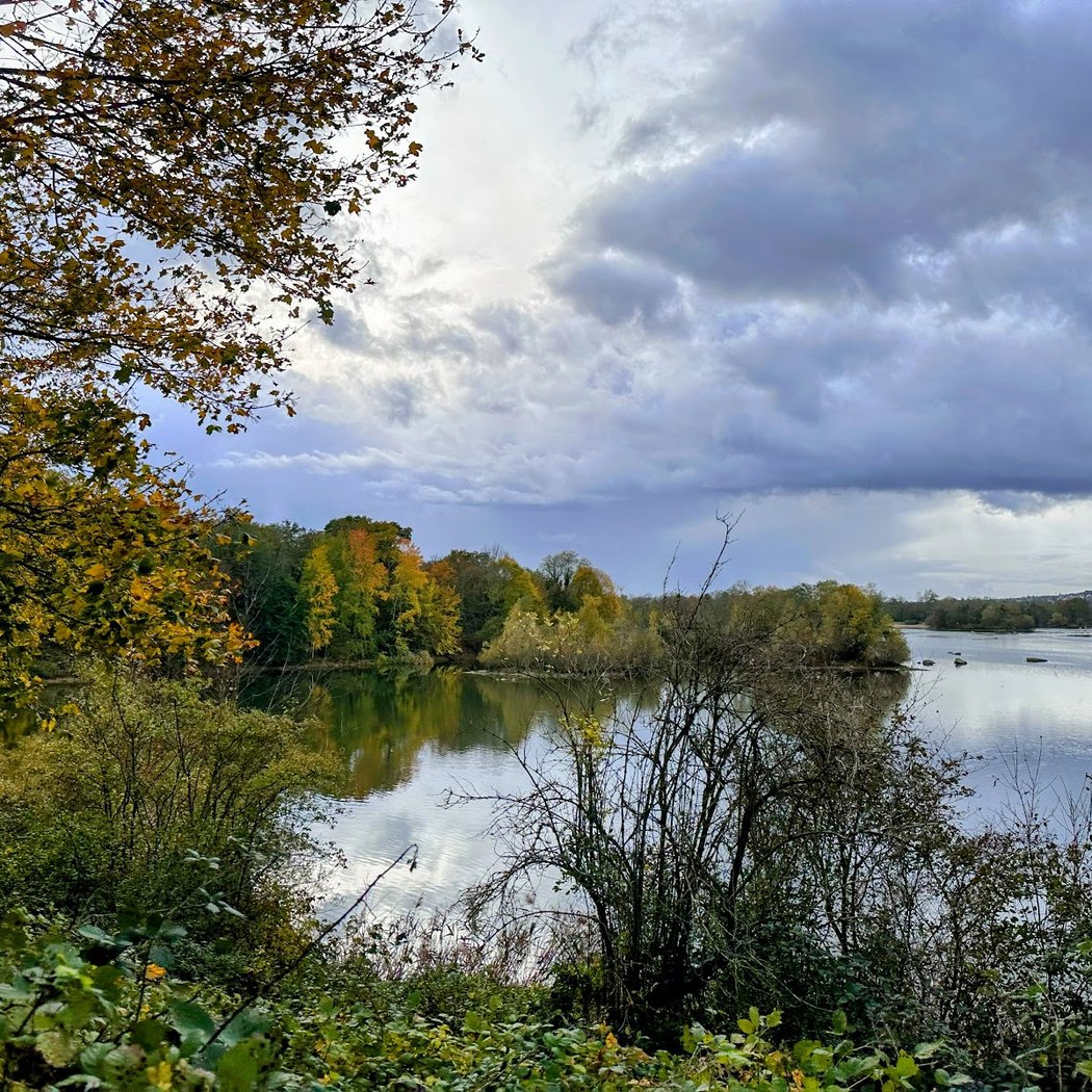 Plage de la Forêt 2